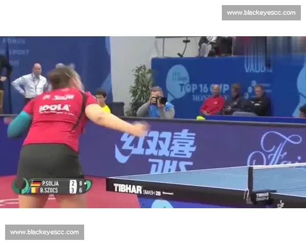 李世石对决李昌镐棋坛双雄巅峰较量背后的时代变迁与经典名局解析 李世石对决李昌镐棋坛双雄巅峰较量背后的时代变迁与经典名局解析